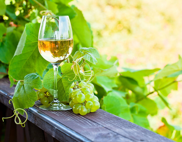 White wine glass with grapes on a vineyard's wooden ledge, green foliage background.