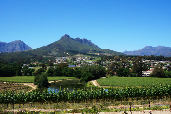 The Western Cape region